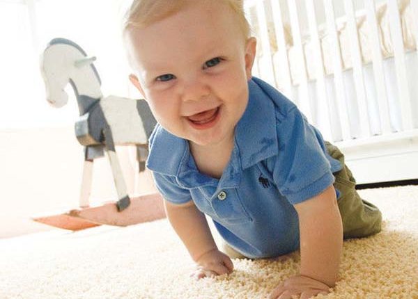 Florida Carpet Cleaner Kings Directory